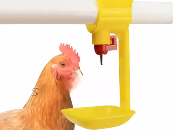 Automatic Yellow Chicken Nipple Drinkers With Hanging Cups-100 Pieces