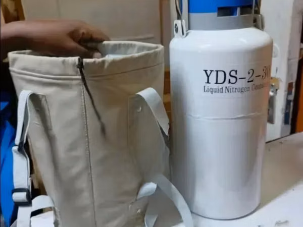 Yds Artificial Insemination Container