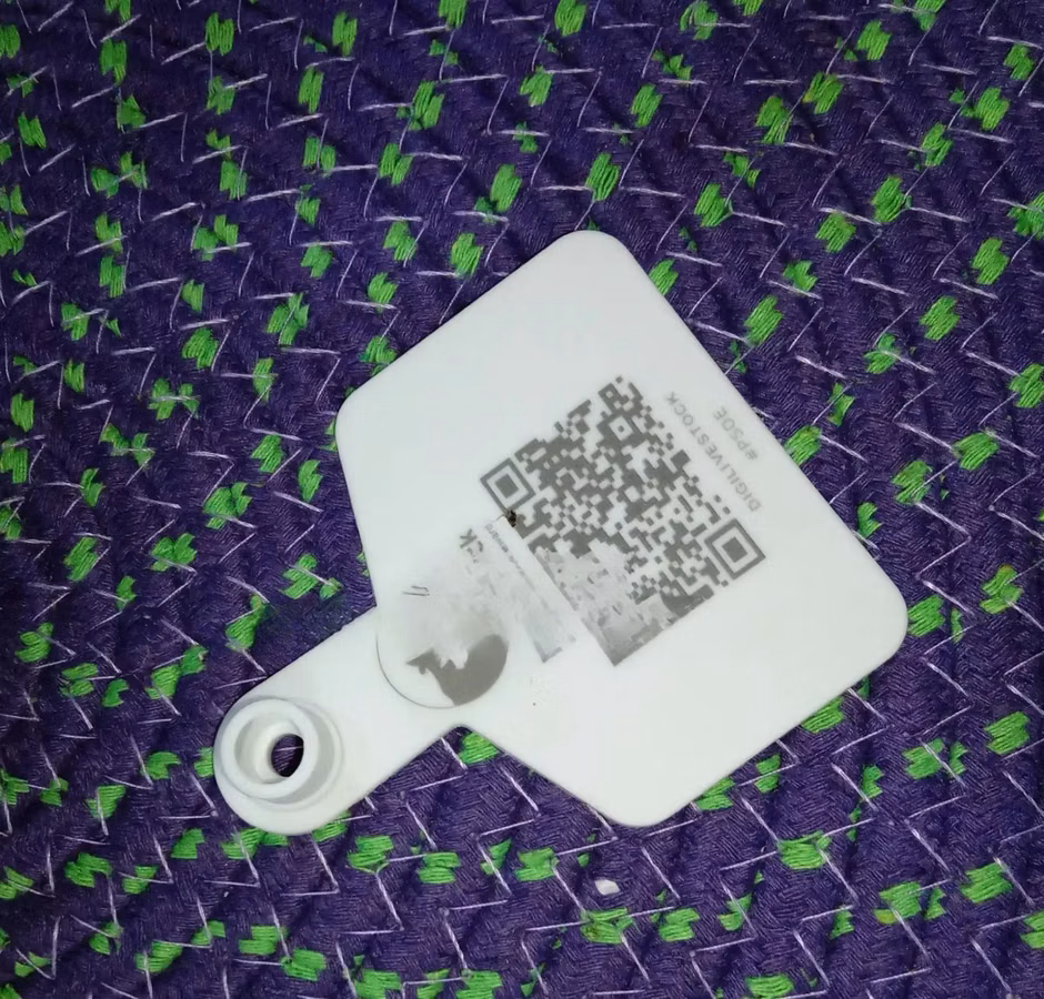 Custom QR-code Livestock Ear Tag - Cattle