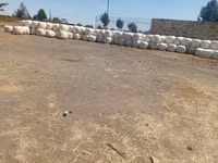 Baled Silage — Foto 3