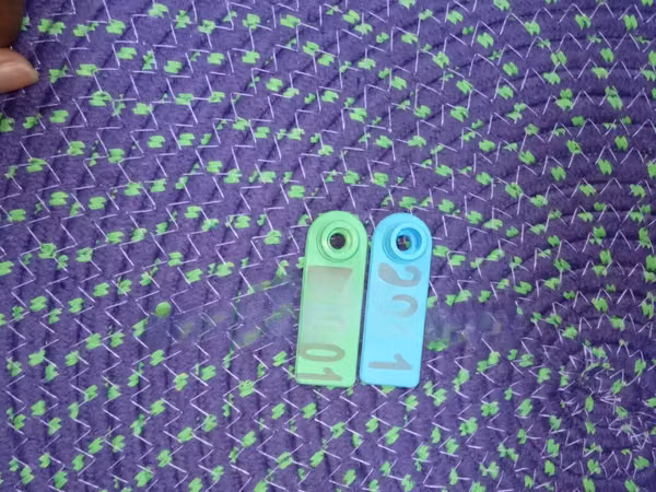 Sheep Ear Tags Livestock Identification Tags