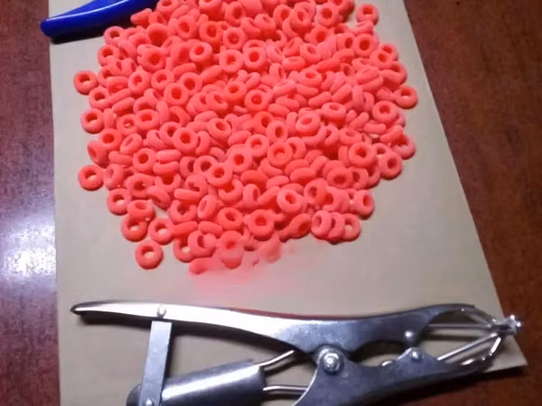 Rubber Rings For Elastrator