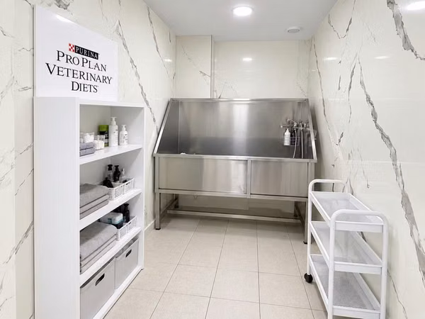 Baytarlıq klinikasında, heyvan baxımı və yuyulması üçün tam təchiz