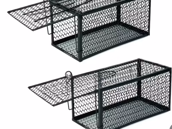 Best Single Catch Rat Traps/Rat Cage