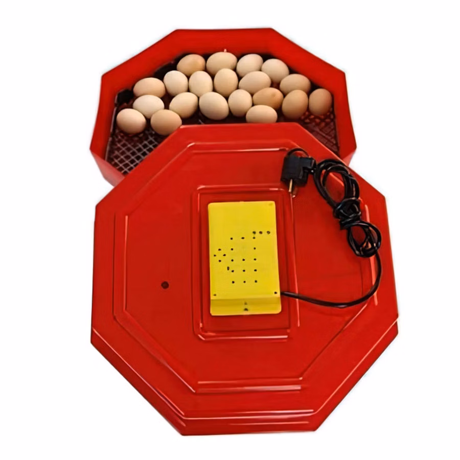 Incubator electric cleo5/inc1 / credit 0% / livrare / garantie 2 ani