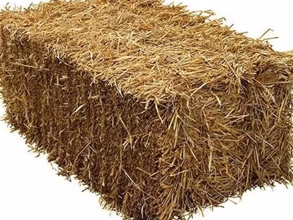 Блоки с сеном продам Кагул