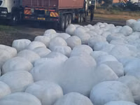 Silage Available at 15 Per Kg. — Foto 1
