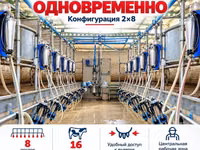 Доильный зал Melasty профессиональная система для молочных ферм ПОД — Foto 2