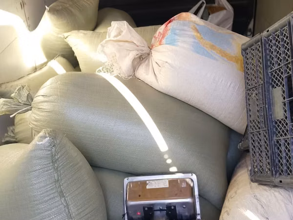 Ячмень в мешках сухой чистый 1тонн
