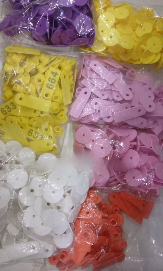 Purple, Pink and Yellow Slim Ear Tags for Pigs, Sheeps and Goats
