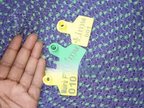 Customized Goats Colored Ear Tags