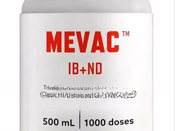 3rd Newcastle Vaccine + Infectious Bronchitis