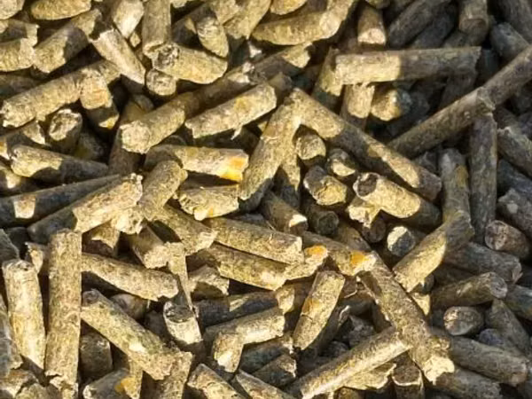 Granule pentru iepuri. Glodeni