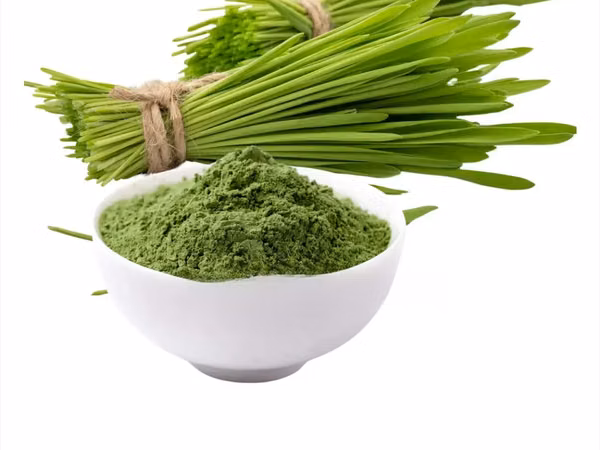 Barley Grass Powder 100g.