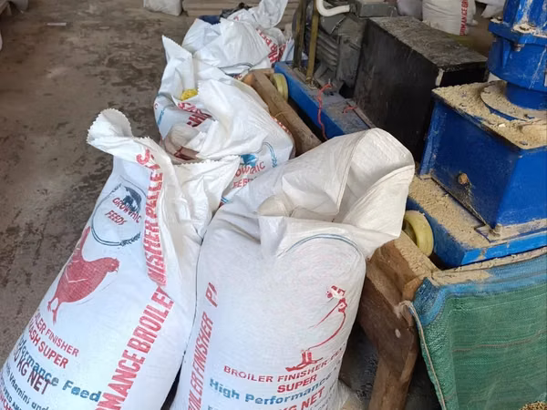 Broiler Feeds-Broiler Starter Crumb