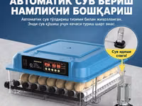 Оптом нархда! Достафка бепул, 24 Талик тўлиқ Автоматик Инкубатор — photo 1