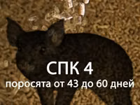 Комбикорм для ИНДЮКОВ "ФИНИШ" (от 45 дней) — photo 5