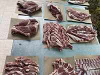 Carnero, Ovejas — foto 6