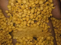 Livestock Feed Formulation Raw Materials — الصورة 4