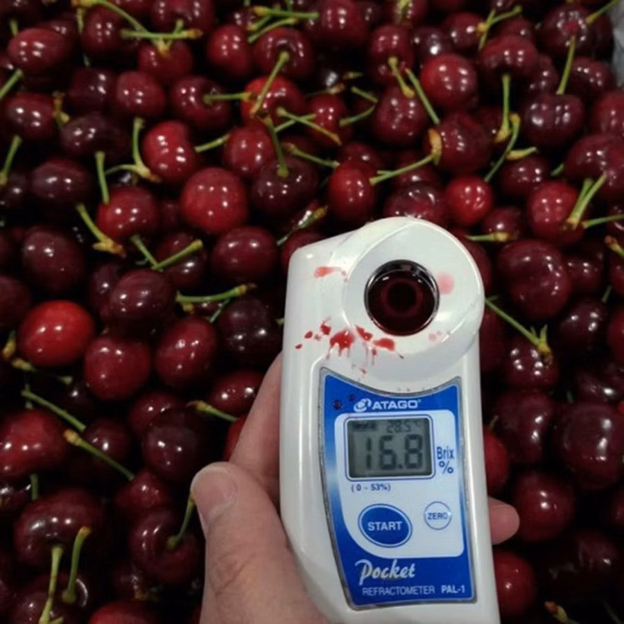 Refractometre și salinometre digitale Atago pentru fructe, siropuri, gemuri și multe altele!