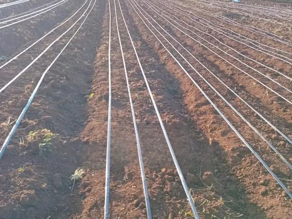 Drip Irrigation