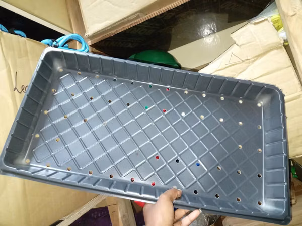 Drainage-Ready Hydroponic Trays - With Holes