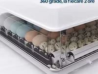 Incubator MS 63 — الصورة 3