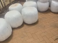 Premium Full-Corn Silage Ready for Collection / Delivery — الصورة 5