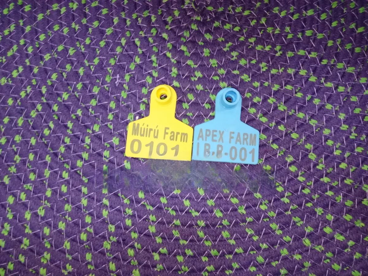 Laser Print Fade-Resistant Numbered Small Tags
