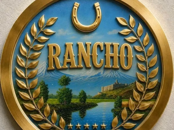 Куры