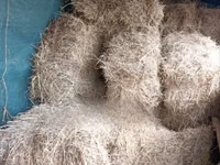 Boma Rhodes Grass Variety Square Bale of Dried Grass Hay — Foto 4