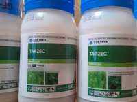 Tarzec Herbicide 0.09kg — फ़ोटो 3