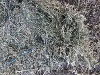 Lucernă — foto 2