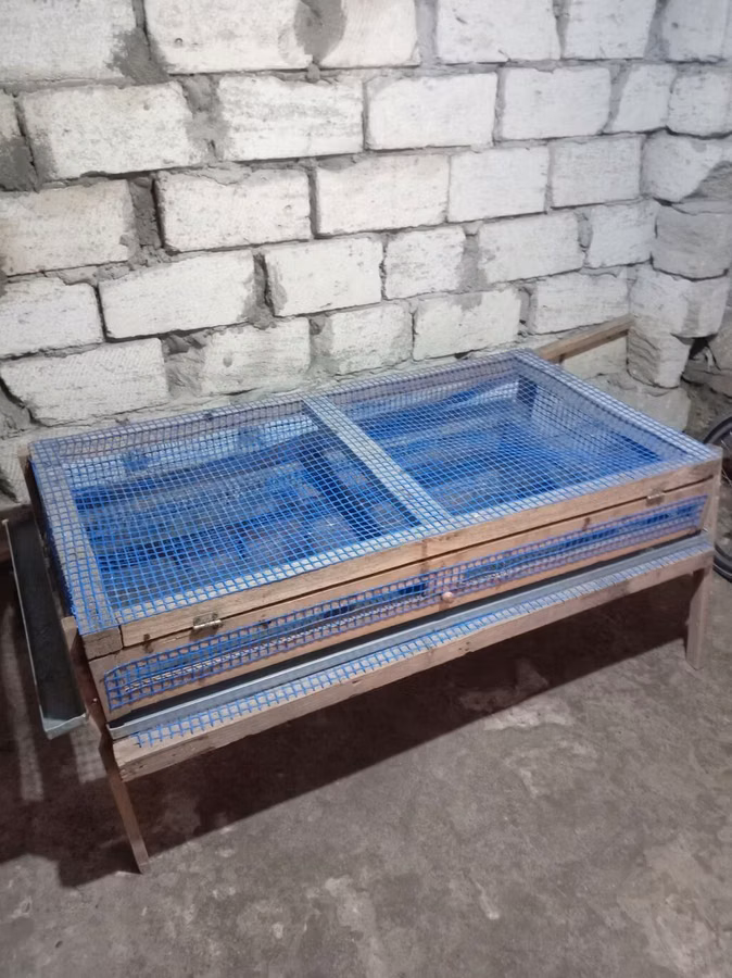 Qefsler zakasla yigilir tam afdamat isdeyir unvan Neftçala rayonu
