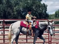 घोड़ी, Quarter Horse — फ़ोटो 8