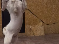 Billy Goat, Gulabi goats — photo 3