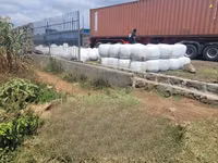 Silage Available More Than 450 Tons — Foto 3
