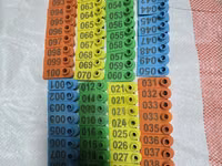 100 Pack Multicoloured Goat Tags — फ़ोटो 2