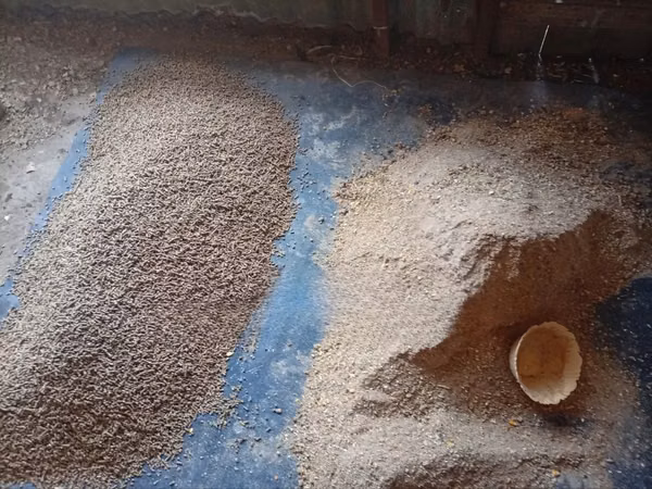 Kienyeji Growers Pellets