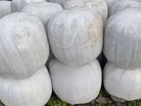 Corn Silage — 照片 3