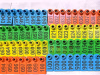 100 Pack Multicoloured Goat Tags — फ़ोटो 1