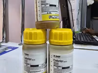 Cabrio 250ec Coffee Fungicide 250ml — الصورة 4