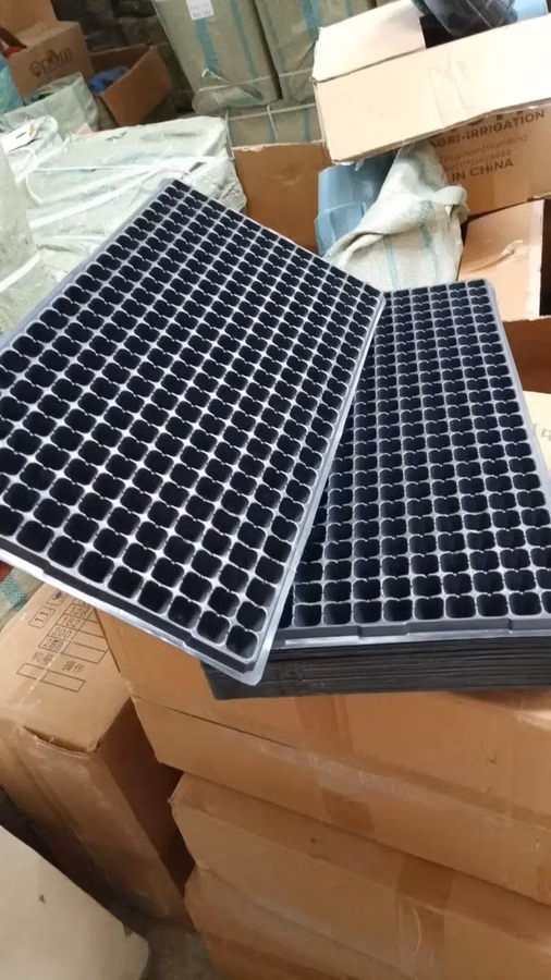 Seedling Trays