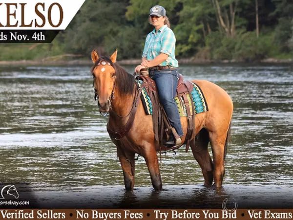 Horse (M), Fjогd