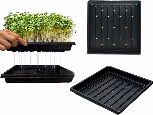 Hydroponic Trays With Round Holes