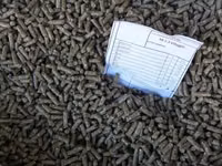 Vind granule la iepuri — foto 2