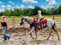 घोड़ी, Quarter Horse — फ़ोटो 6