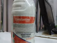 Constantine 110sc Insecticide 1l — photo 3