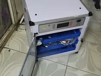 Automatic Egg Incubator/ Electric 204eggs Capacity Ac/Dc Incubator — Foto 1