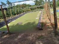 Azolla for Replanting - Big Leaves — الصورة 3